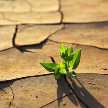 Acupunctuur_Timmermans_Waalwijk_klachten_vruchtbaarheid_IVF